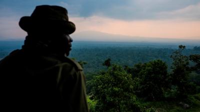 View from Rumangabo over the Volcano section of Virunga National Park, Democratic Republic of the Congo. View from Rumangabo over the Volcano section of Virunga National Park, Democratic Republic of the Congo.