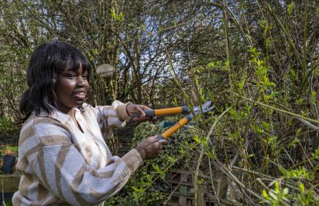 Environment Leaders Programme