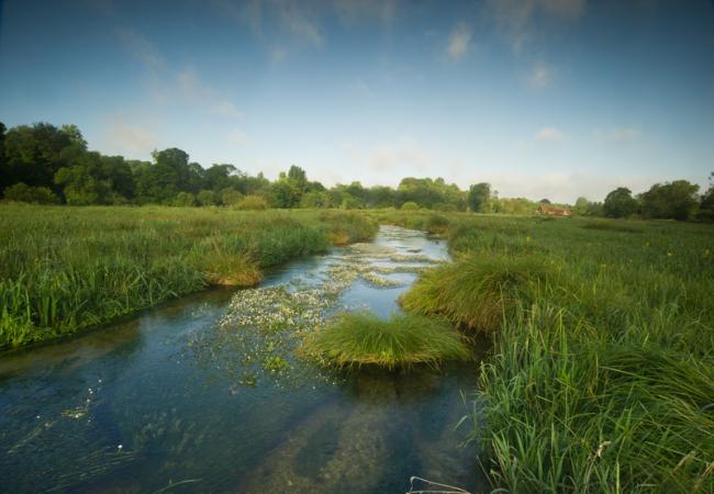 UK Rivers And Chalk Streams | WWF