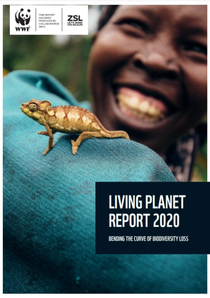 Living Planet Report 2020 By WWF For Nature   Two Thirds Decline In