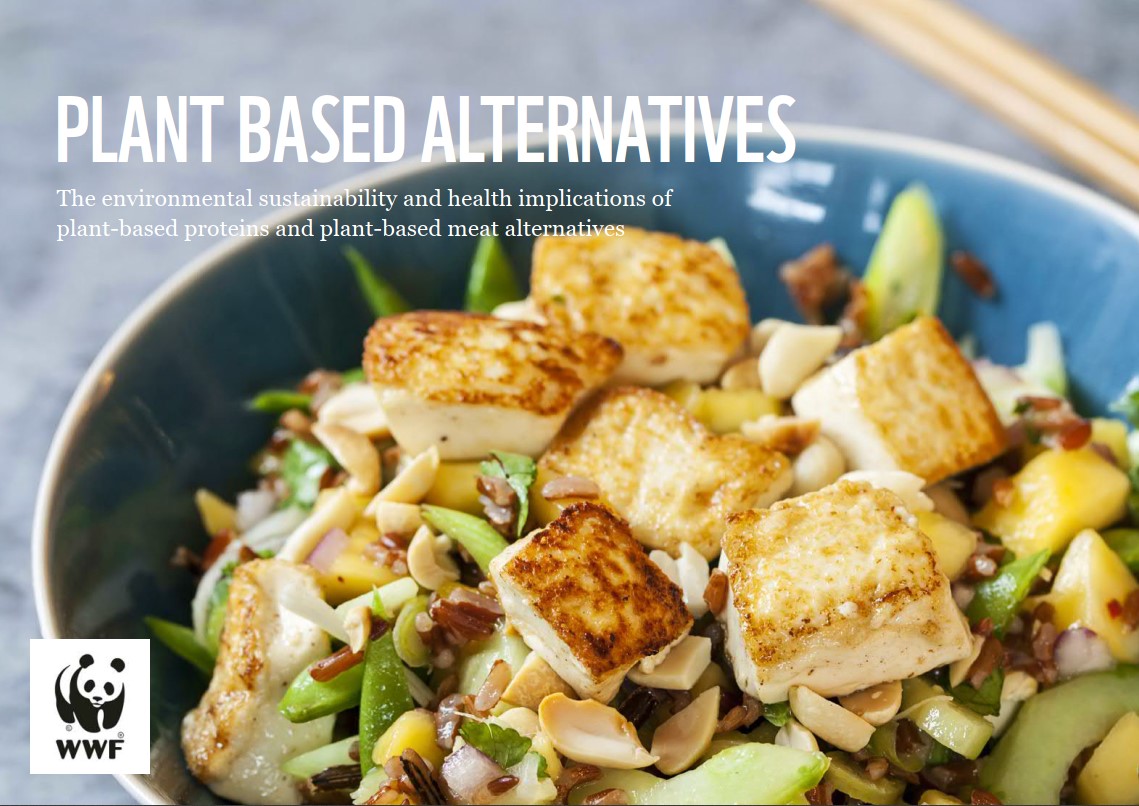 plant based alternatives technical report cover