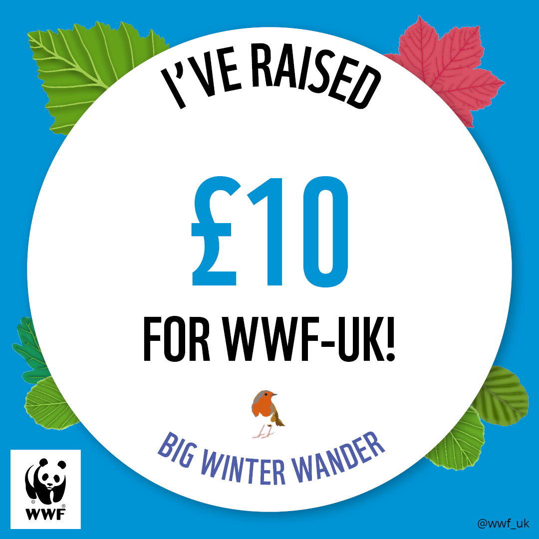 WWF The Big Winter Wander - £10 Raised Badge