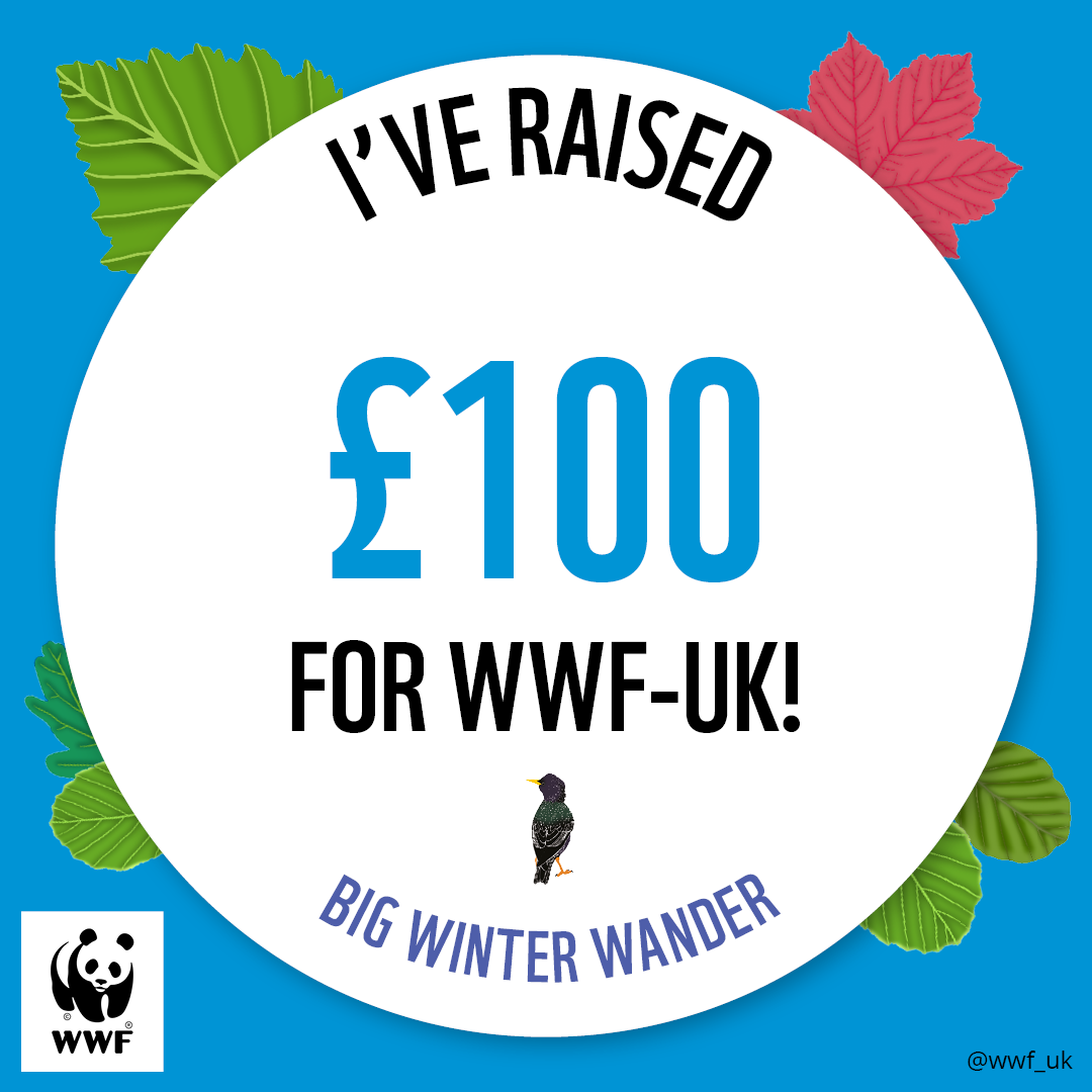 WWF The Big Winter Wander - £100 Raised Badge