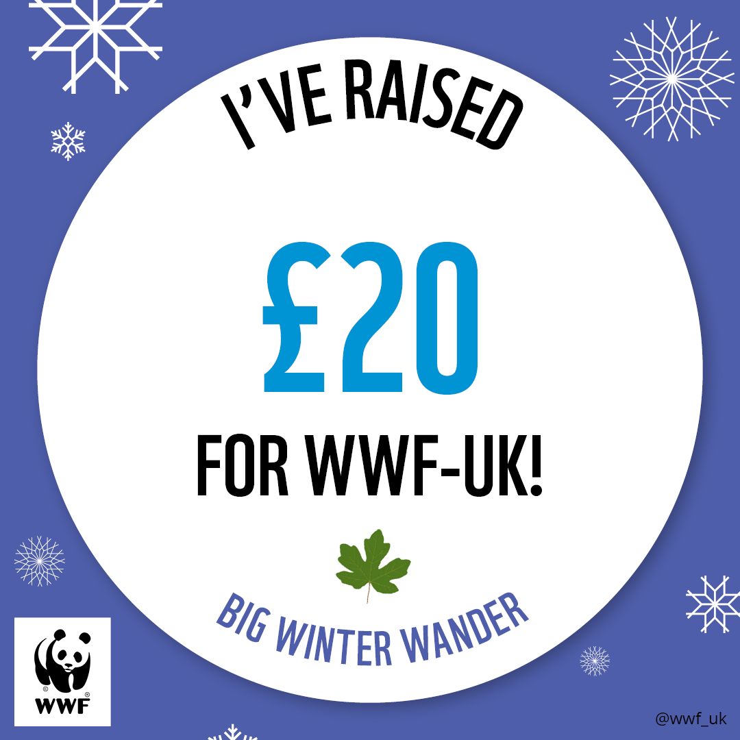 WWF The Big Winter Wander - £20 Raised Badge