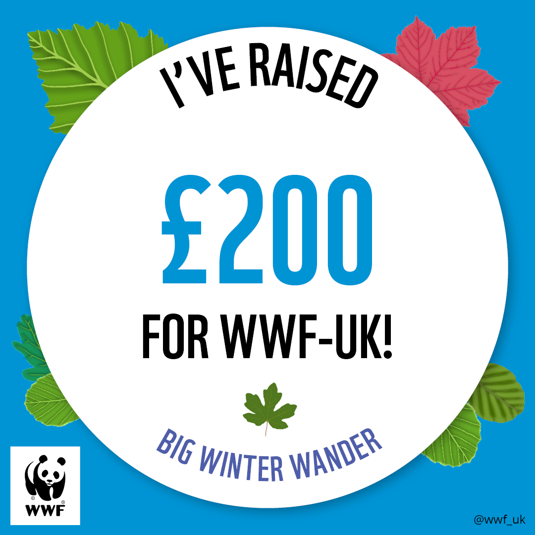 WWF The Big Winter Wander - £200 Raised Badge