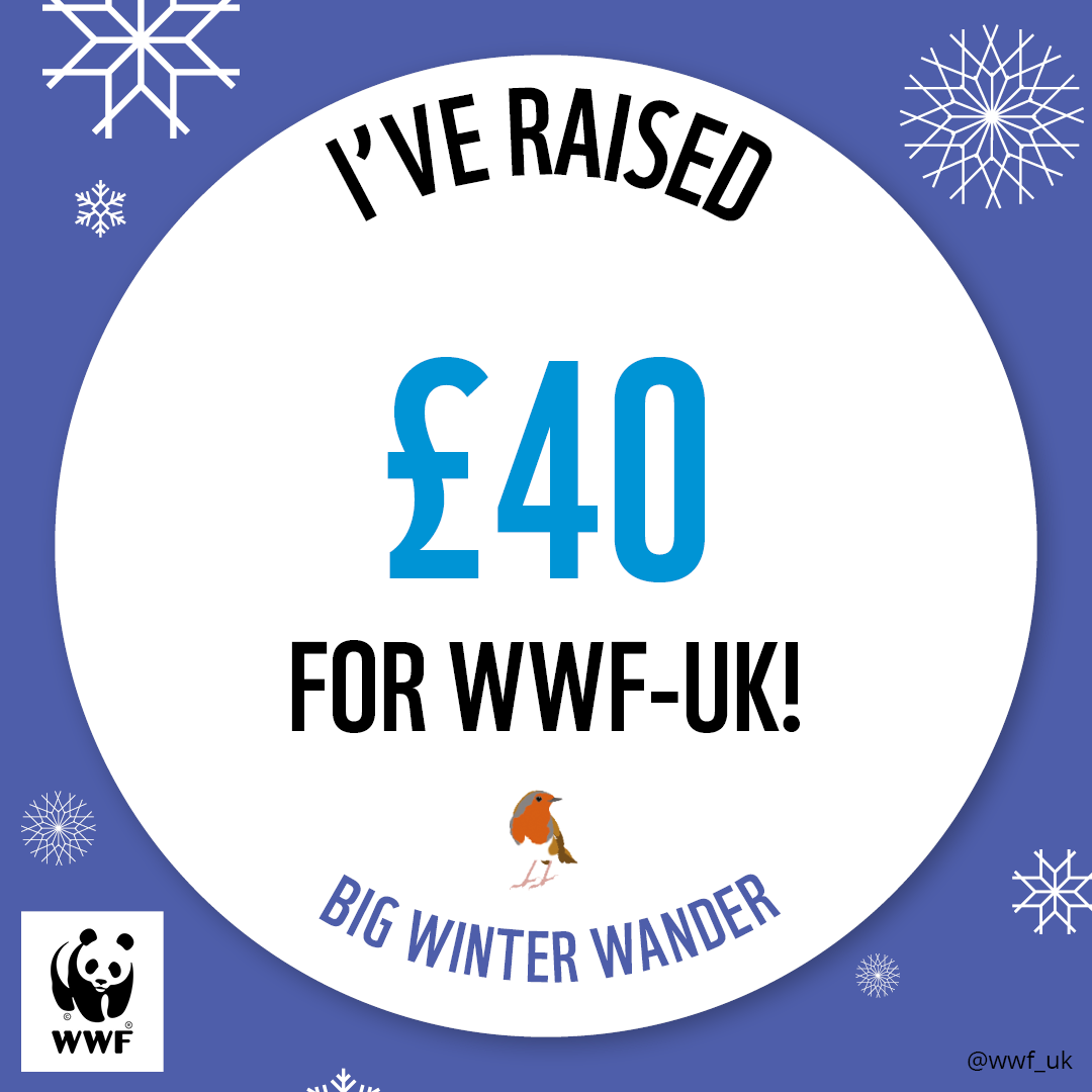 WWF The Big Winter Wander - £40 Raised Badge