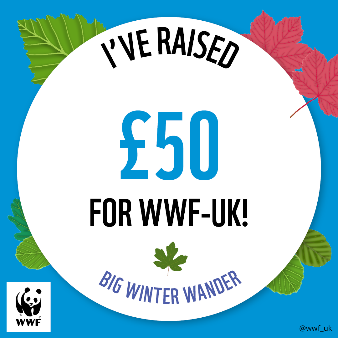 WWF The Big Winter Wander - £50 Raised Badge