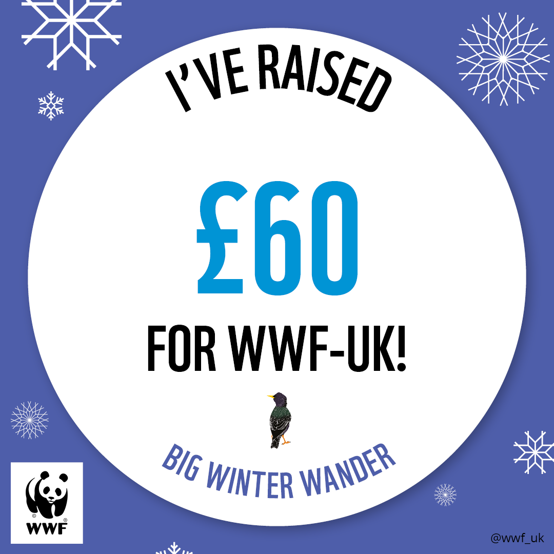 WWF The Big Winter Wander - £60 Raised Badge