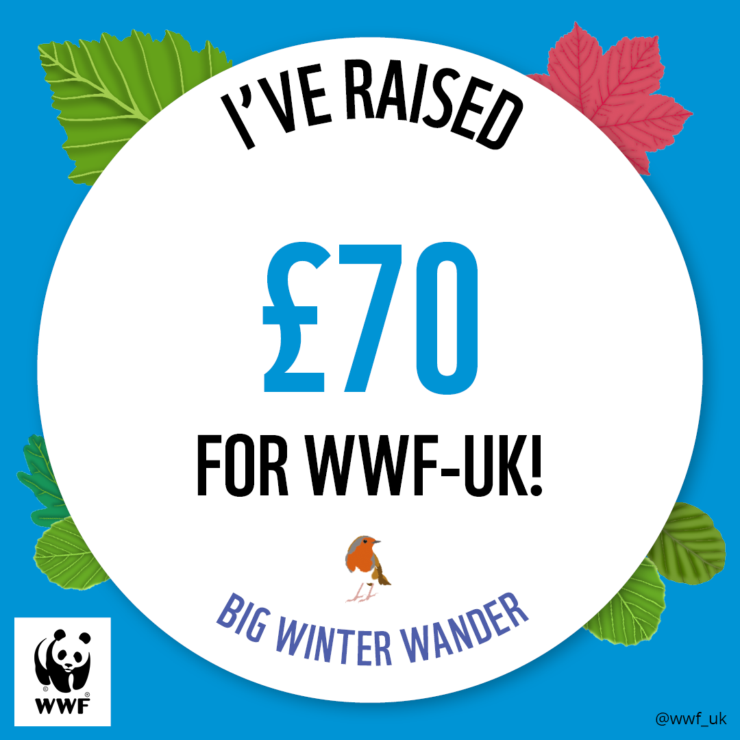 WWF The Big Winter Wander - £70 Raised Badge