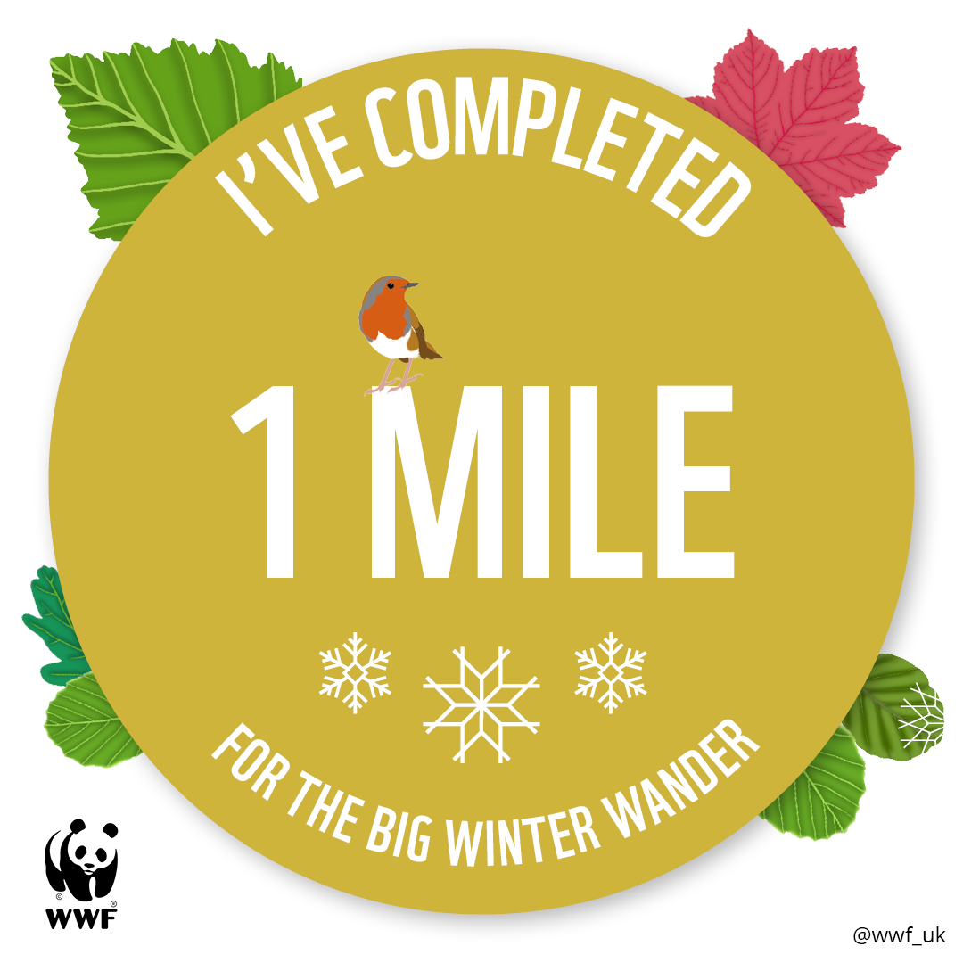 WWF The Big Winter Wander - 1 Mile Badge