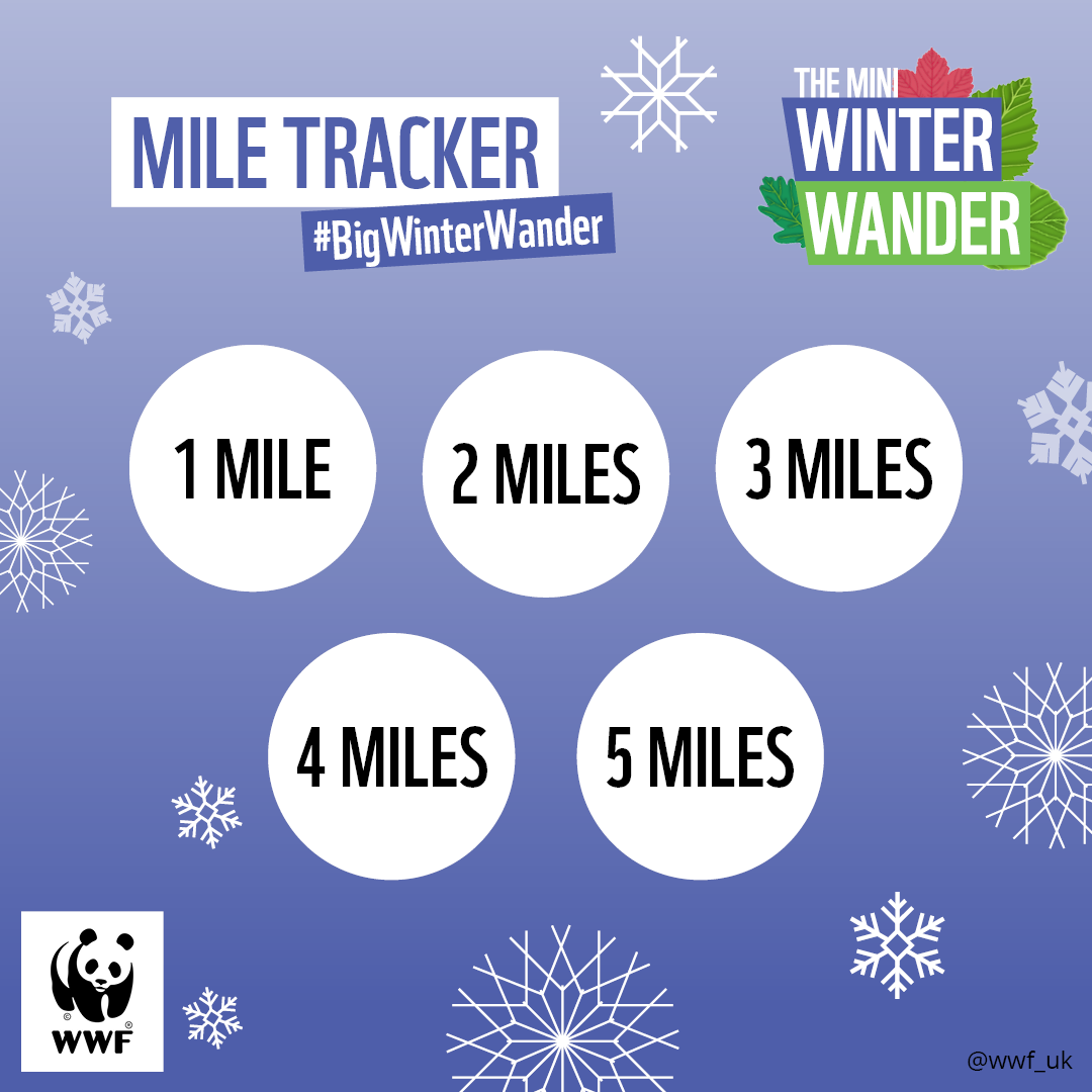 BWW_5 MILE TRACKER WWF