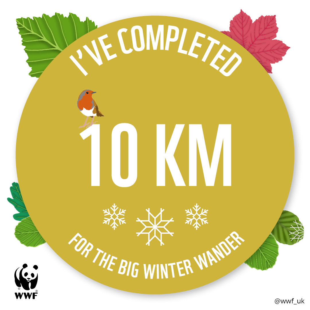 BWW 10KM tracker badge