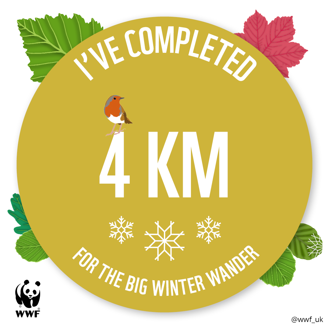 BWW 4KM tracker badge