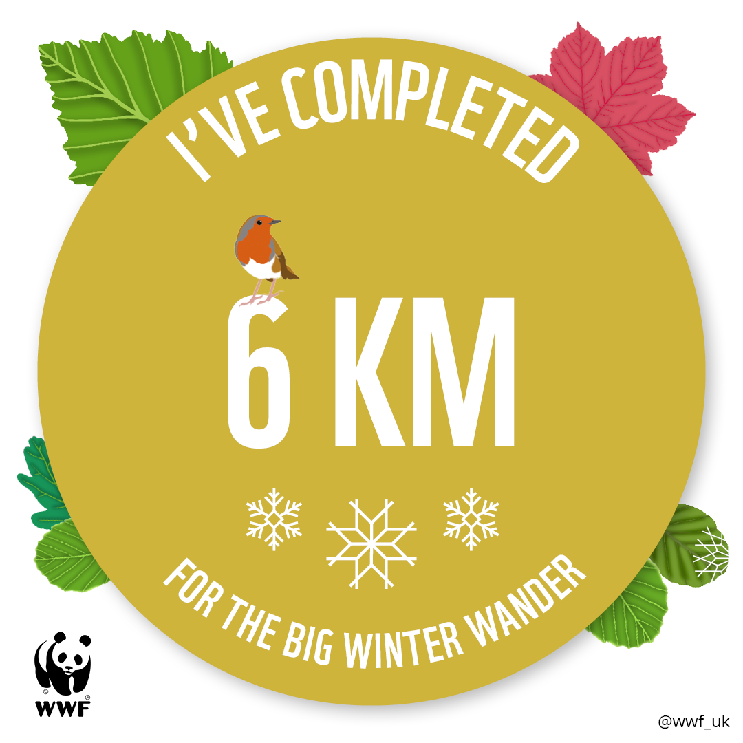 BWW 6KM tracker badge