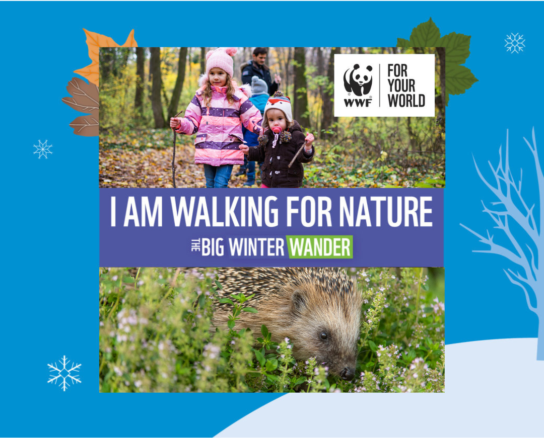 Sponsor Me Poster 2 - UK wildlife and walkers