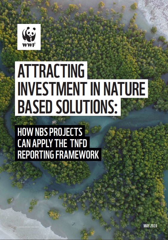 Cover image for the 'Attracting Investment in Nature Based Solutions' report