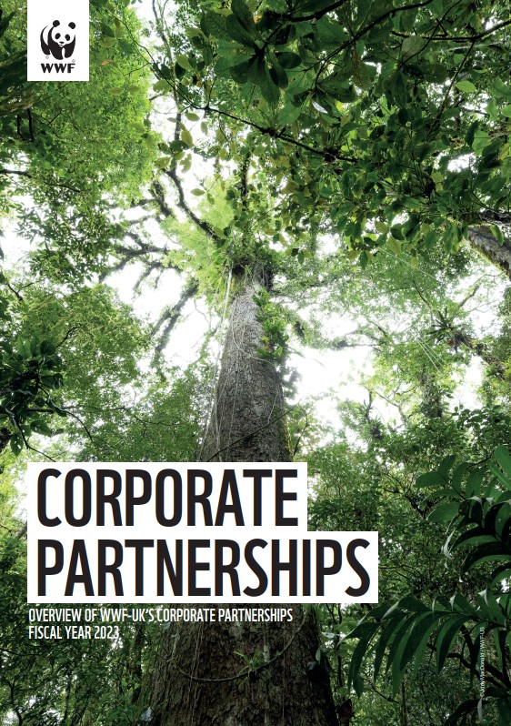 Corporate Partnerships Report 2023 cover image showing a low-angle picture of trees