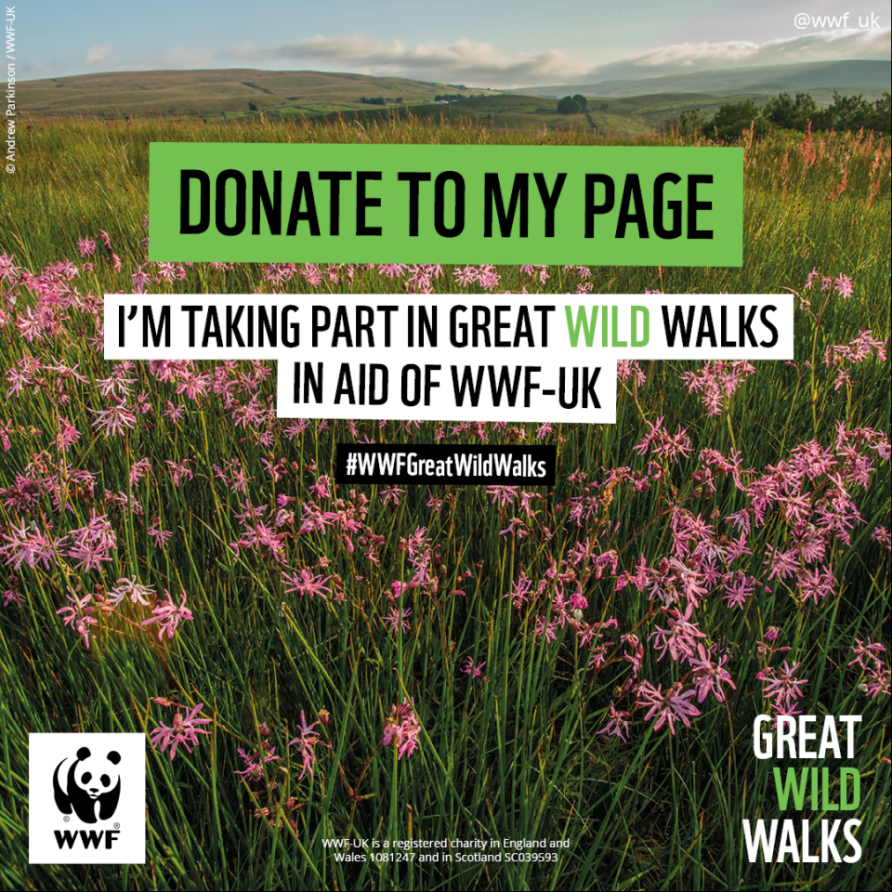 Great Wild Walks Sponsorship post