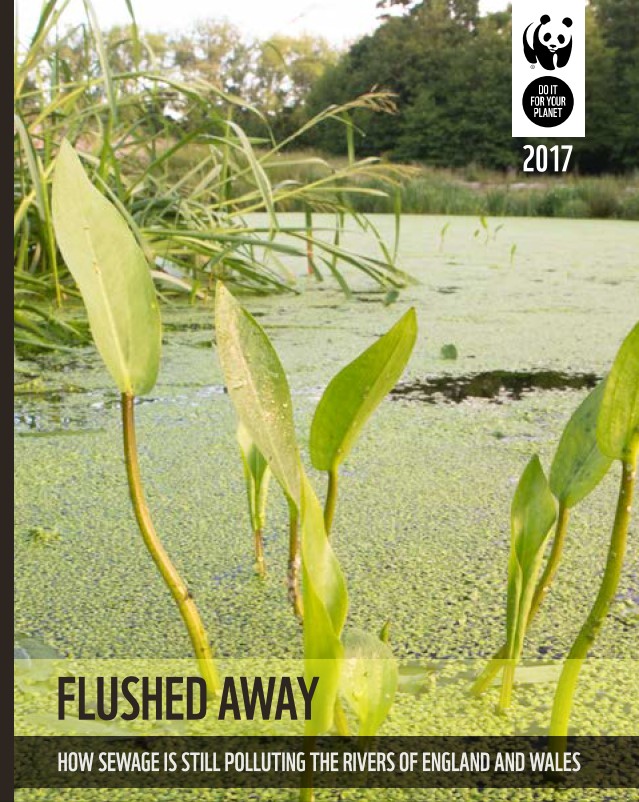 Cover image for Flushed Away report showing a pond filled with algae