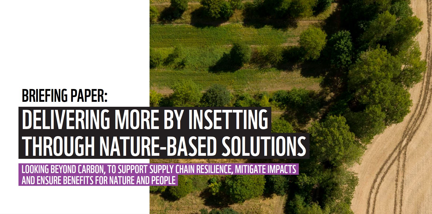 Delivering more insetting through nature-based solutions