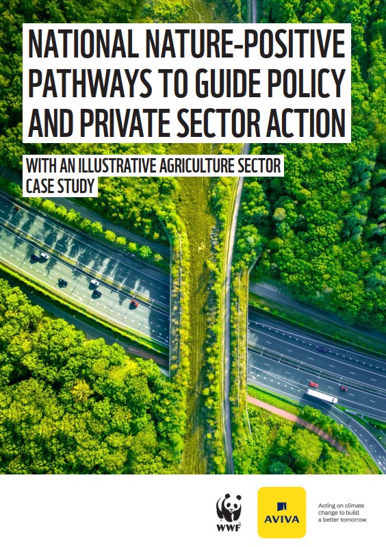 Nature Positive Pathways report cover image