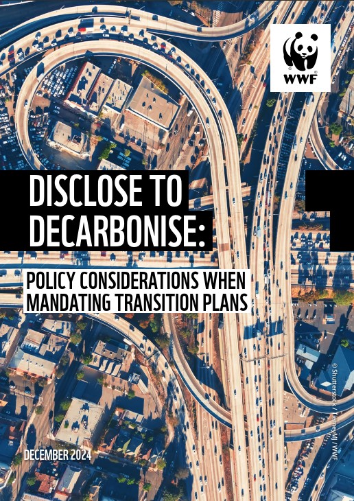 Disclose to decarbonise report cover image