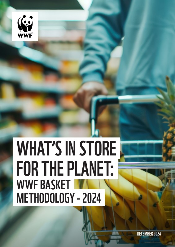 Cover image of What's in store for the planet 2024 methodology report