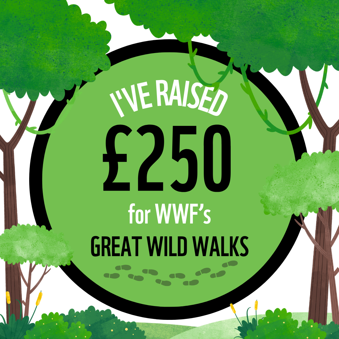 I've Raised £250 for Great Wild Walks