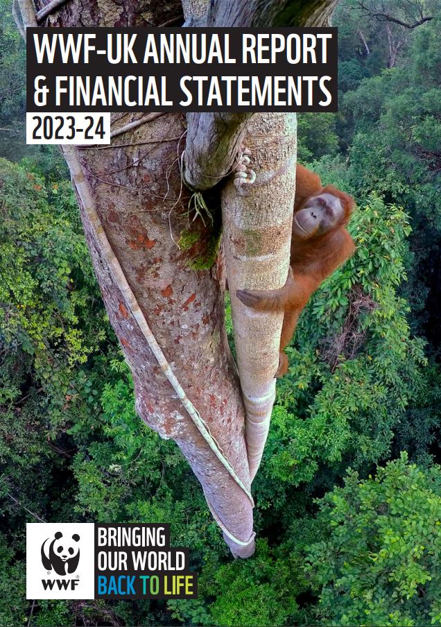 Annual Report 23-24 Front cover Orangutan climbing tree