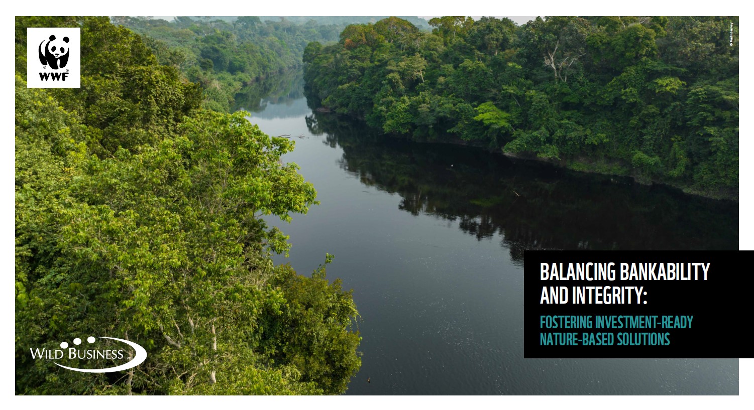 Cover image of the Balancing Bankability and Integrity report