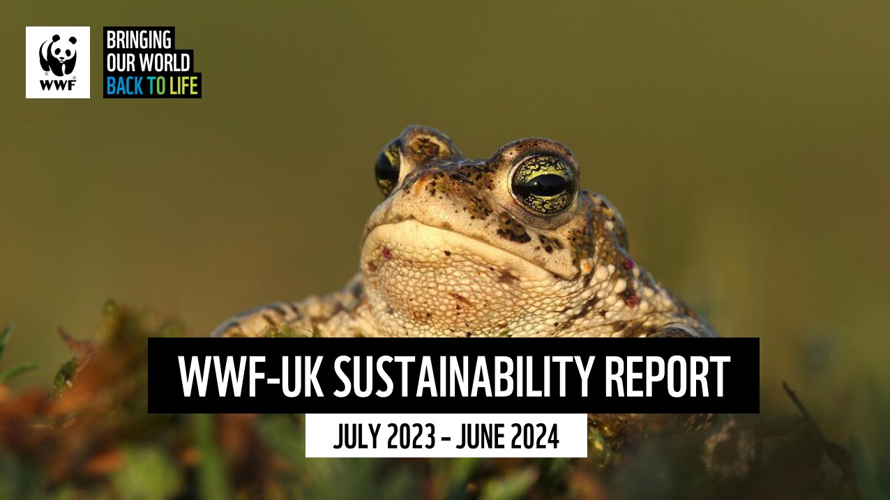 Cover image for the FY24 sustainability report showing a close up of a toad