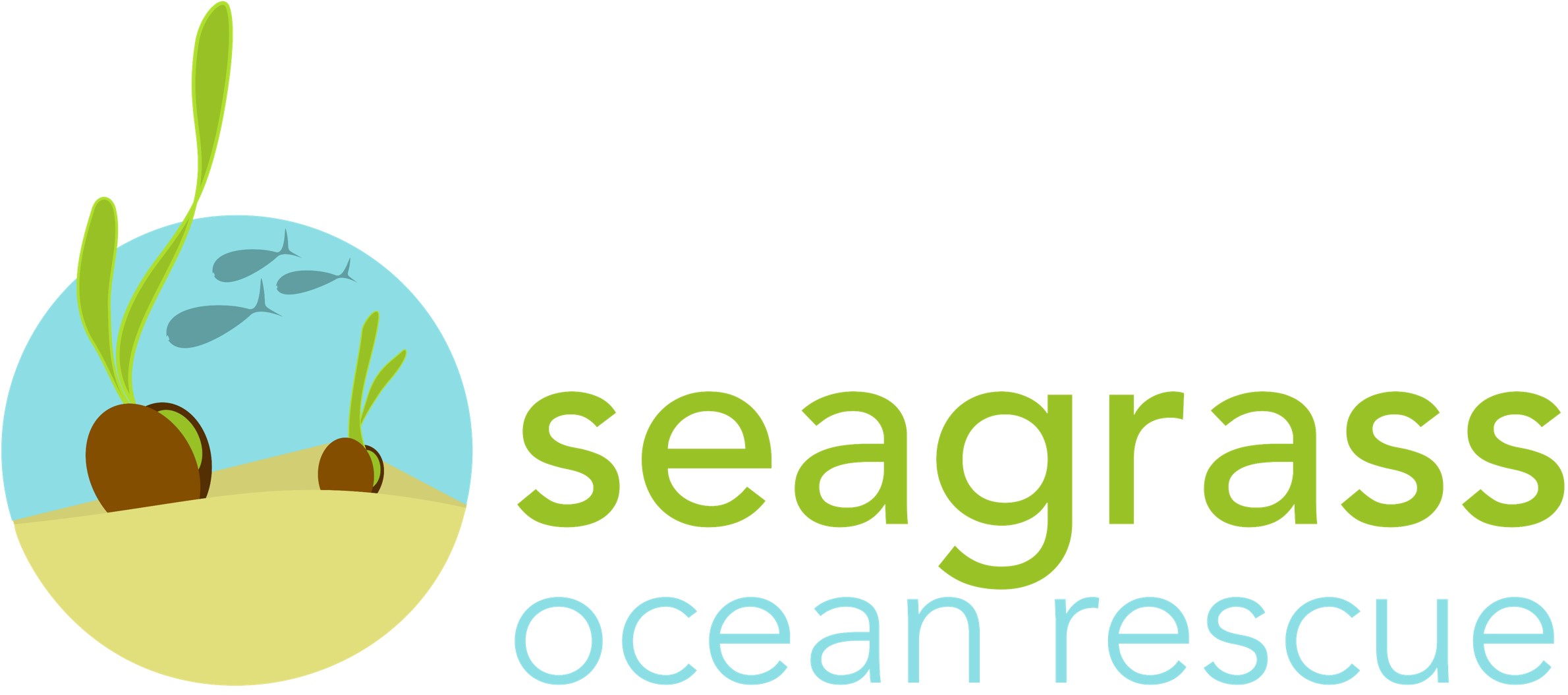 Seagrass - Wild Planet Trust