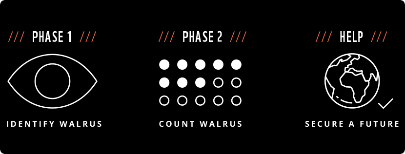 Phases