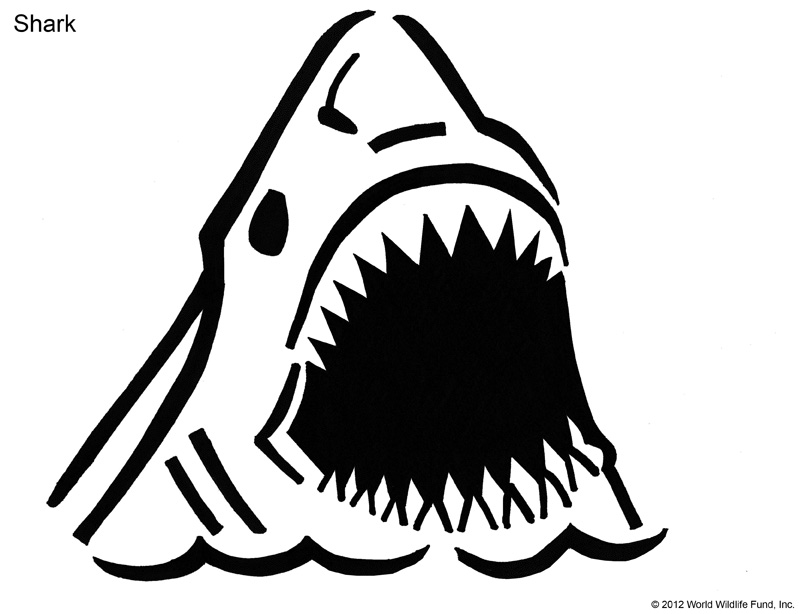Shark pumpkin stencil jpeg