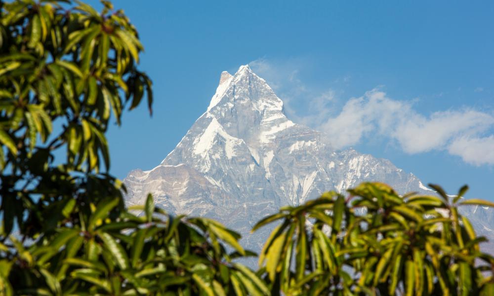 Himalaya 2025 china forest