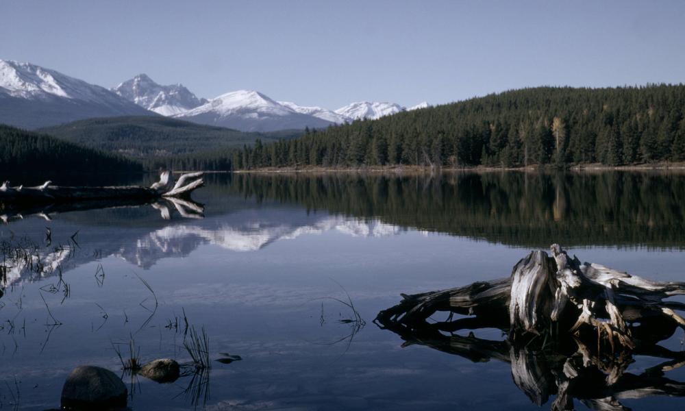 Jasper National Park World Heritage site - © Wilfried D. Schurig / WWF