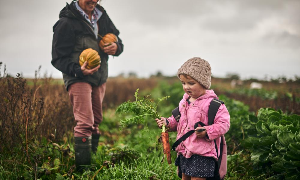 Liz pics produce from the farm, including squashes and carrots, with the help of a very young future farmer.