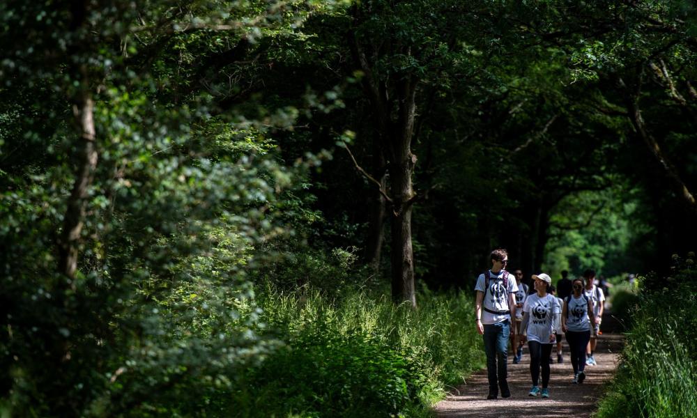 Great Wild Walks Delamere Forest Group Header