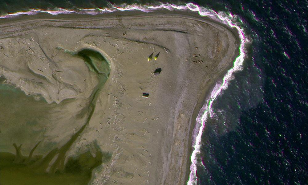 Satellite imagery of Atlantic Walrus haul out