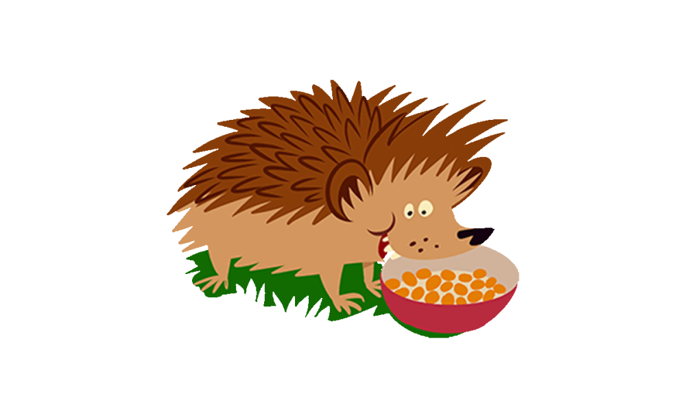 illustrated hedgehog