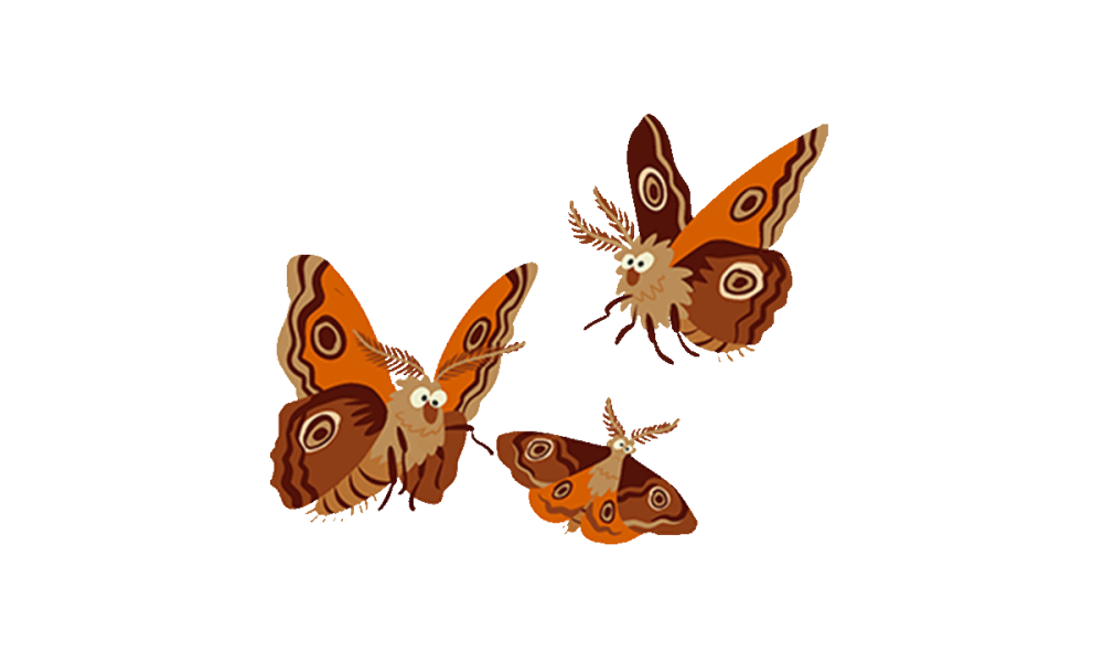 Illustrated Moths