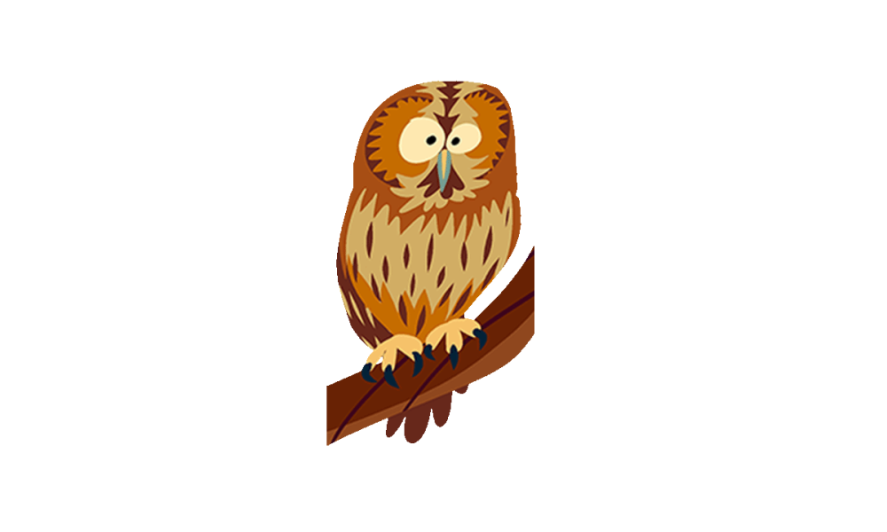 illustrated owl