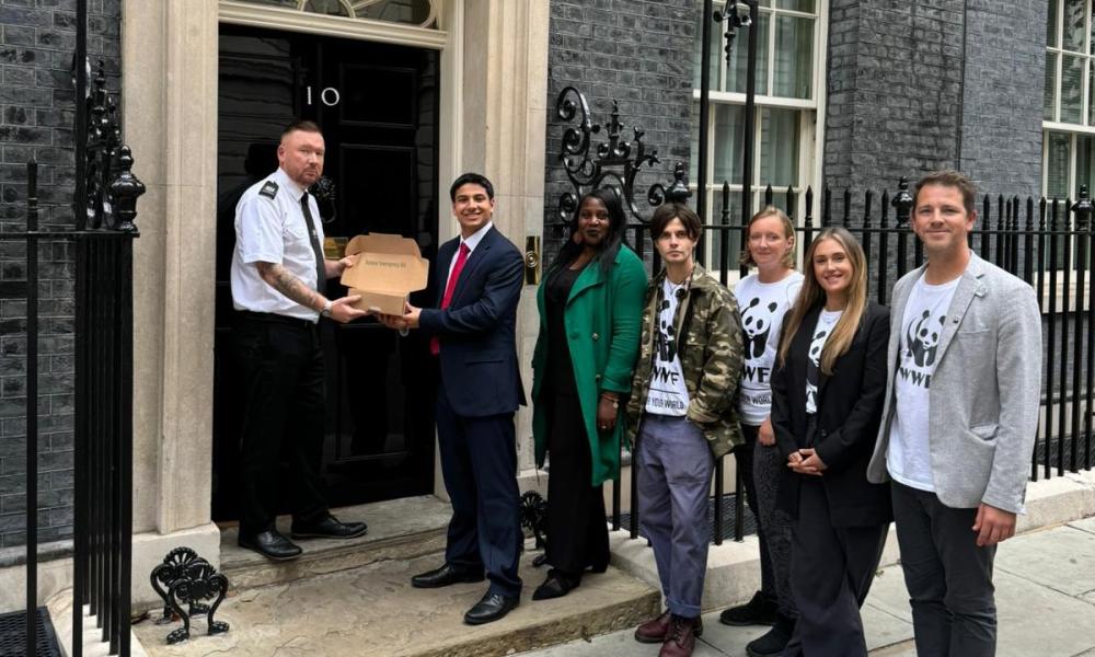 WWF-UK staff and ambassadors handing in the Stop the Destruction of Nature petition