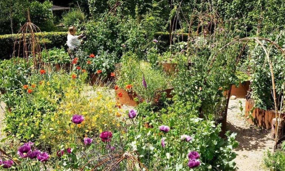 Kitchen garden 