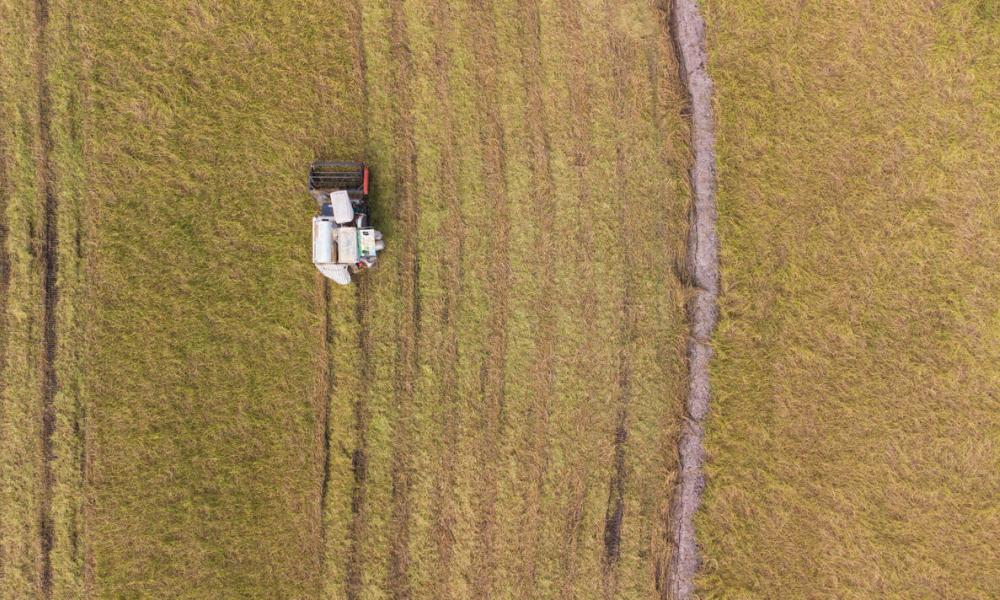 Tractor harvesting rice in Vietnam