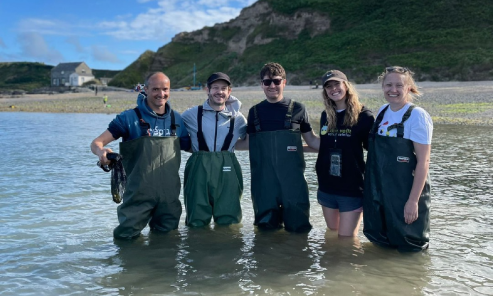 The WWF Cymru team and ambassador Iwan Rheon, knee high in the sea and wearing waders, during a seagrass seed collection trip in Porthdinllaen, Wales