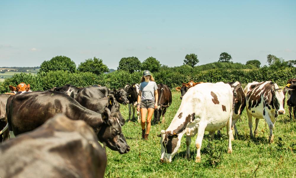 Sophie Gregory - Farmer amongst her cattle 