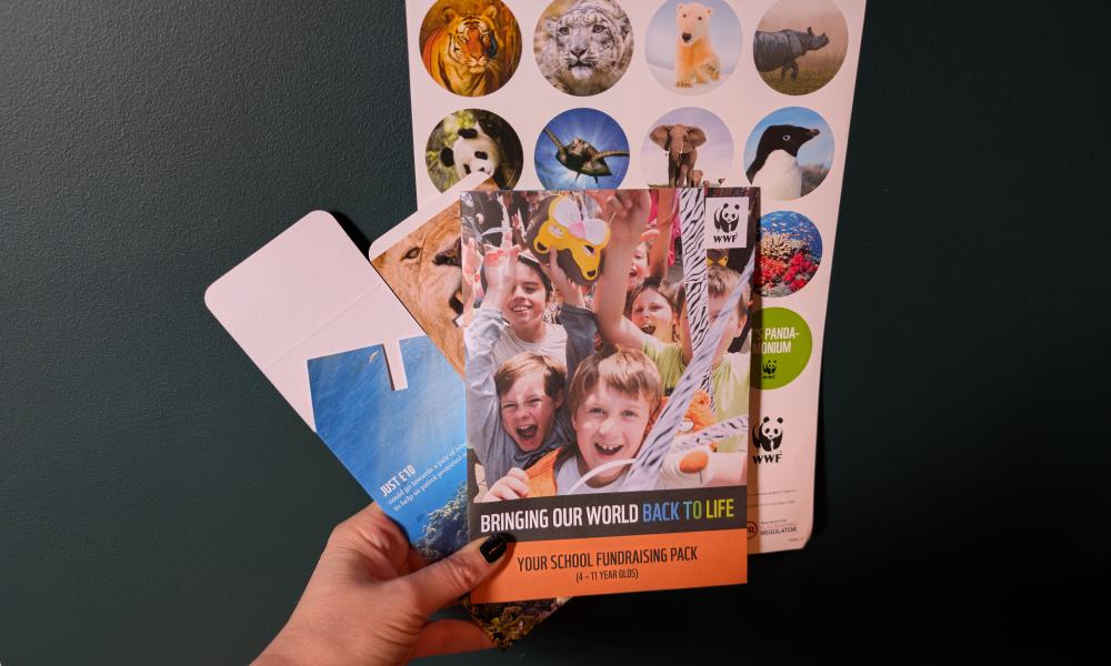 A picture of the school fundraising pack that includes a booklet, WWF stickers and a collection pot