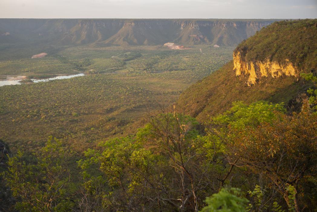 Our Ceo Tanyas Visit To Cerrado Brazil Wwf 4692