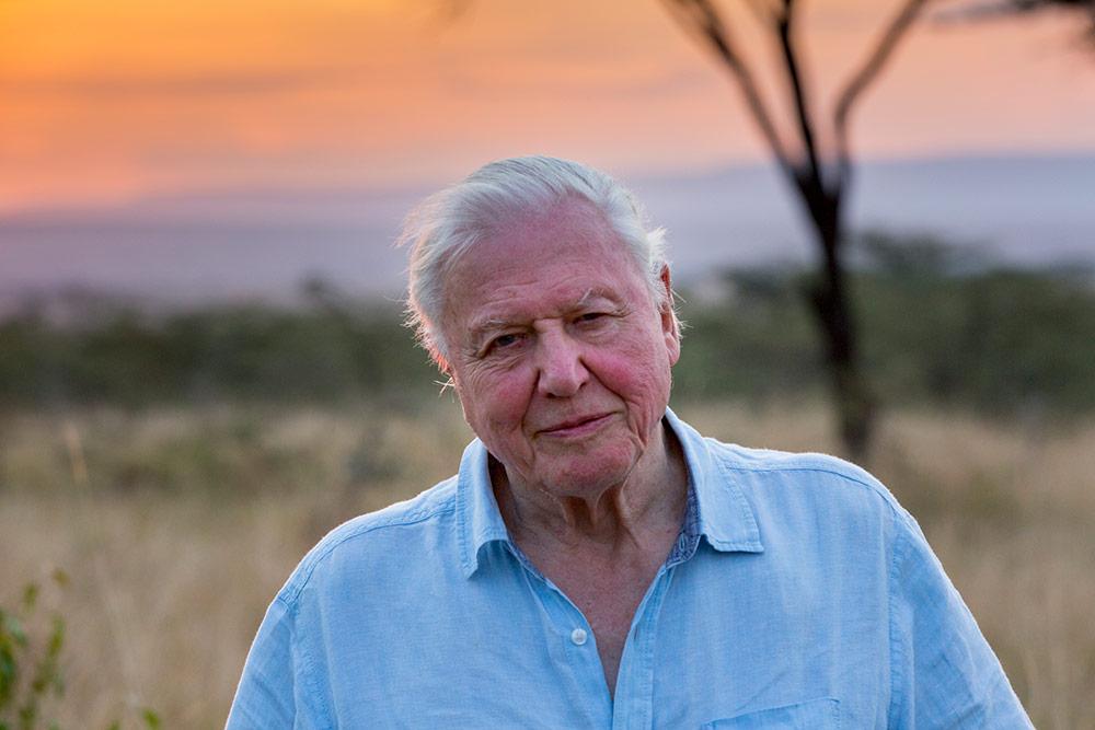How David Attenborough Are You Wwf